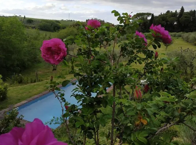 アパート Poderi In Chianti Tavarnelle Val di Pesa