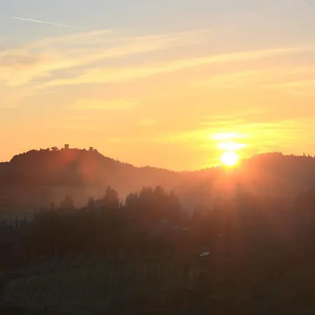 Poderi In Chianti